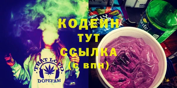 apvp Вяземский