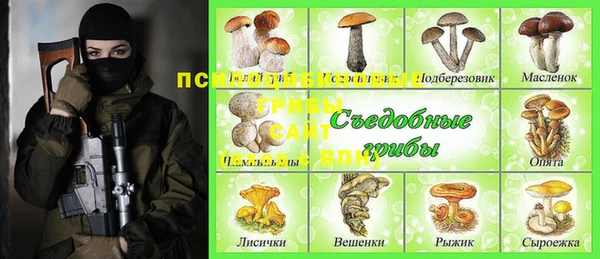 apvp Вяземский
