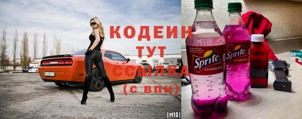 apvp Вяземский