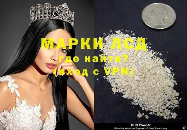 apvp Вяземский