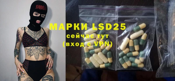 apvp Вяземский