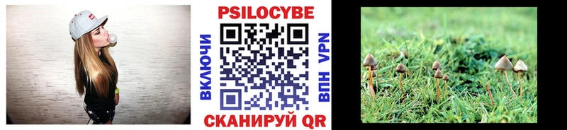 Галлюциногенные грибы Cubensis Мантурово