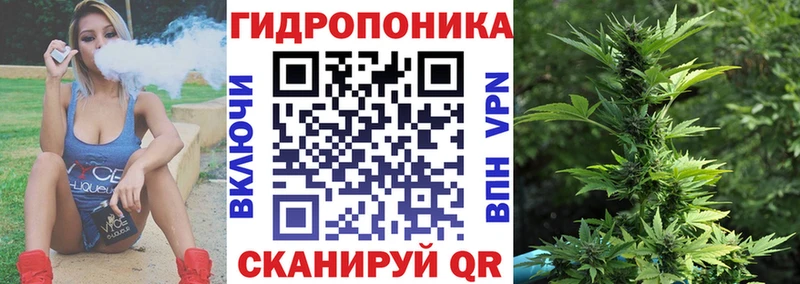 мега как зайти  Мантурово  Шишки марихуана гибрид  где продают  